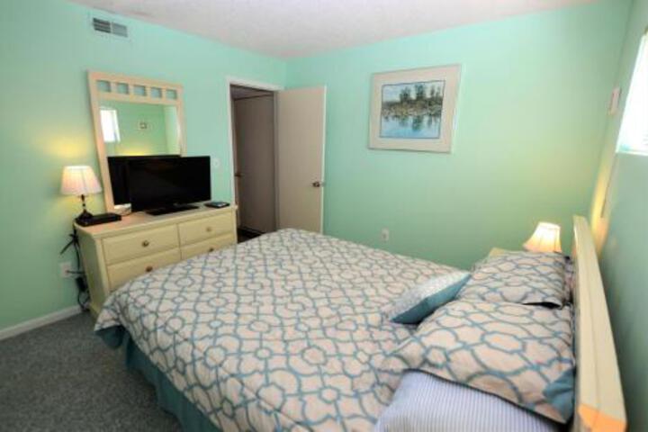 CS124 SAND DOLLAR - thumb 4