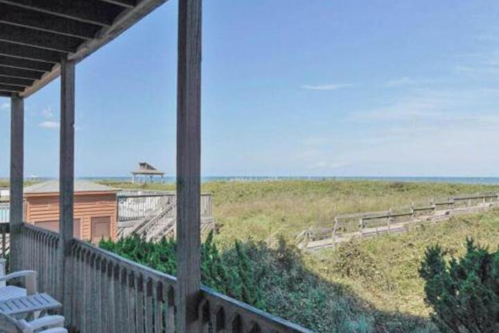 CS124 SAND DOLLAR - thumb 3