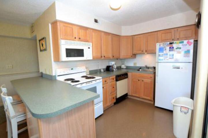 CS124 SAND DOLLAR - thumb 1