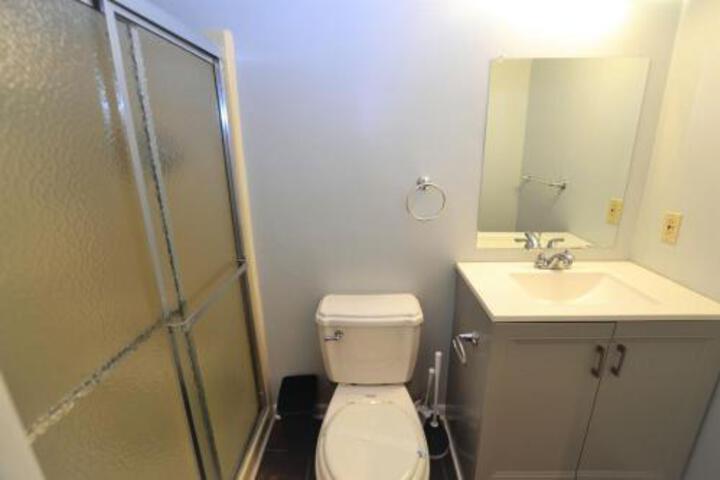 CS124 SAND DOLLAR - thumb 2