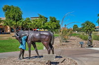 NEW Condo Walk to Downtown Fountain Hills Pets OK