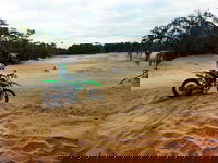 Hampton Inn Brooksville Dade