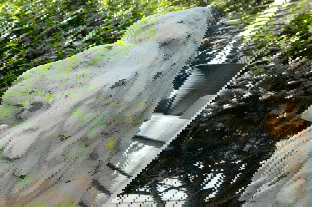 Janssen Park Place B&B - thumb 0