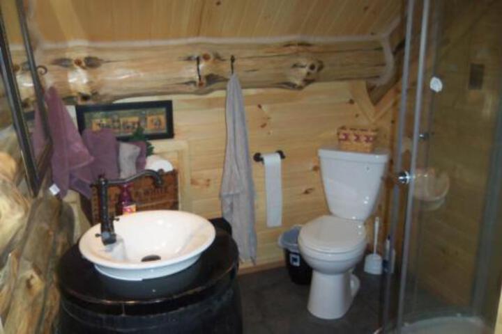 Salmon Run - thumb 2