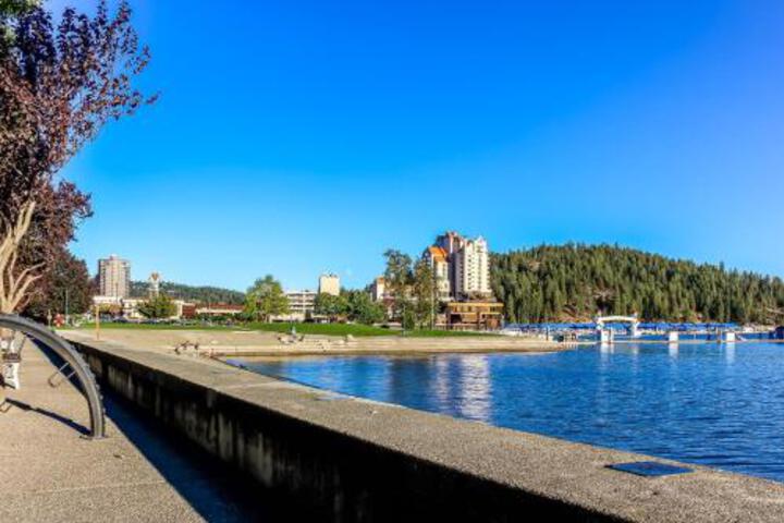 Astounding Arrow Point (F 101) - thumb 2