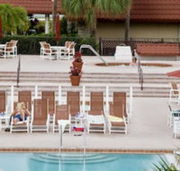 The Suites at Magic Tree - Accommodation Michigan