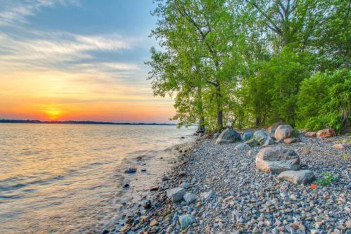 The Birds Nest - thumb 0