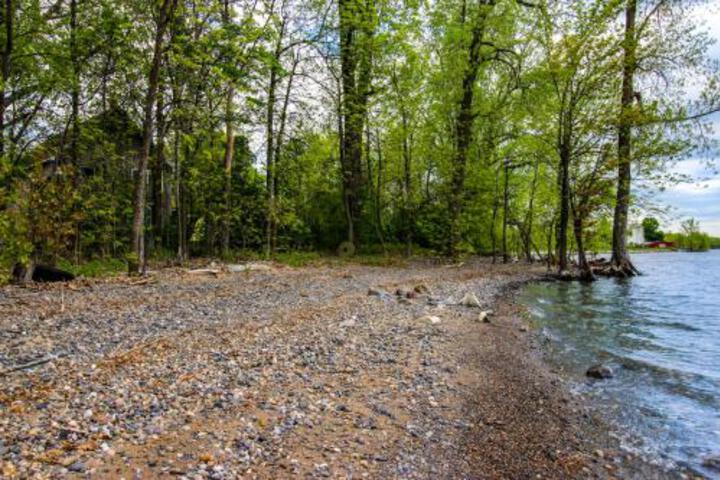 The Birds Nest - thumb 5