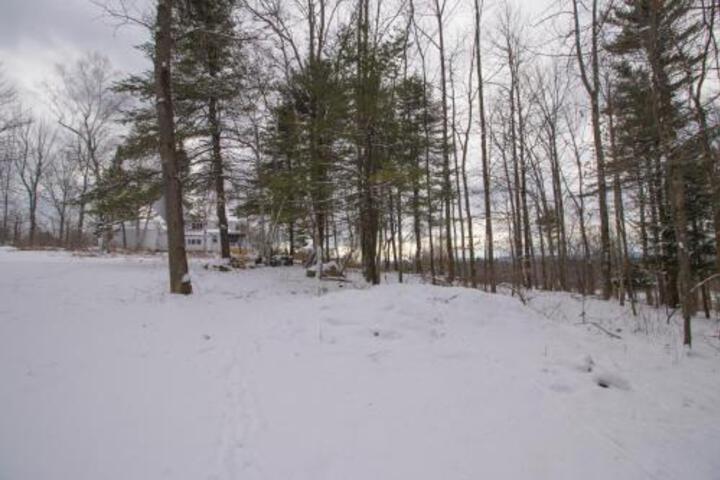 Willis Croft - thumb 7