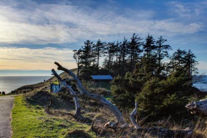 Our Kindred Studio - thumb 5