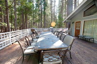 48R The Tree House II