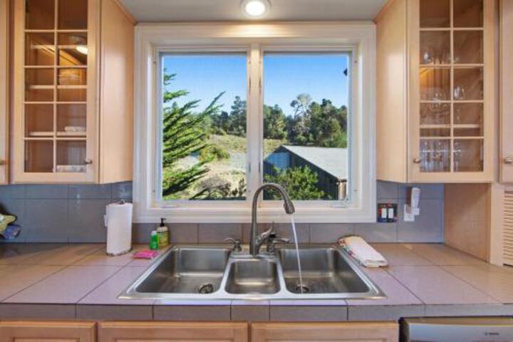 Pacific Pearl - thumb 5