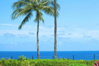 Hanalei Bay Villas 33