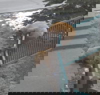 Mountainback at Mammoth - Accommodation Michigan