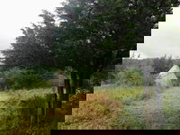 Tentrr Clove Mountain Meadow