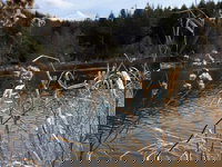 Tentrr El Dorado Camp