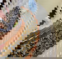 Atlantis Inn Hotel - Accommodation Michigan