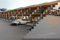 Tampa Inn - Near Busch Gardens