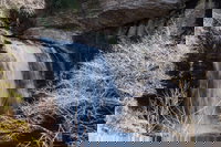 Book Cities Accommodation Vacations, Accommodation Michigan Accommodation Michigan