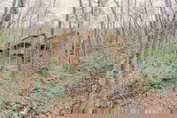 Foxhunt at Sapphire Valley by Capital Vacations