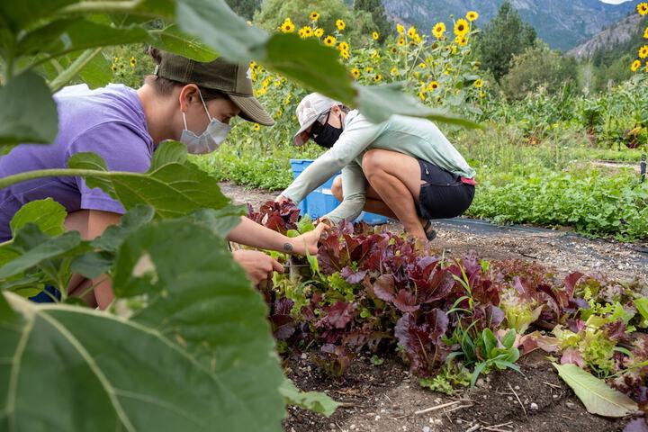 Sleeping Lady Mountain Resort - thumb 4