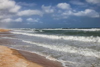 Royal Floridian Resort