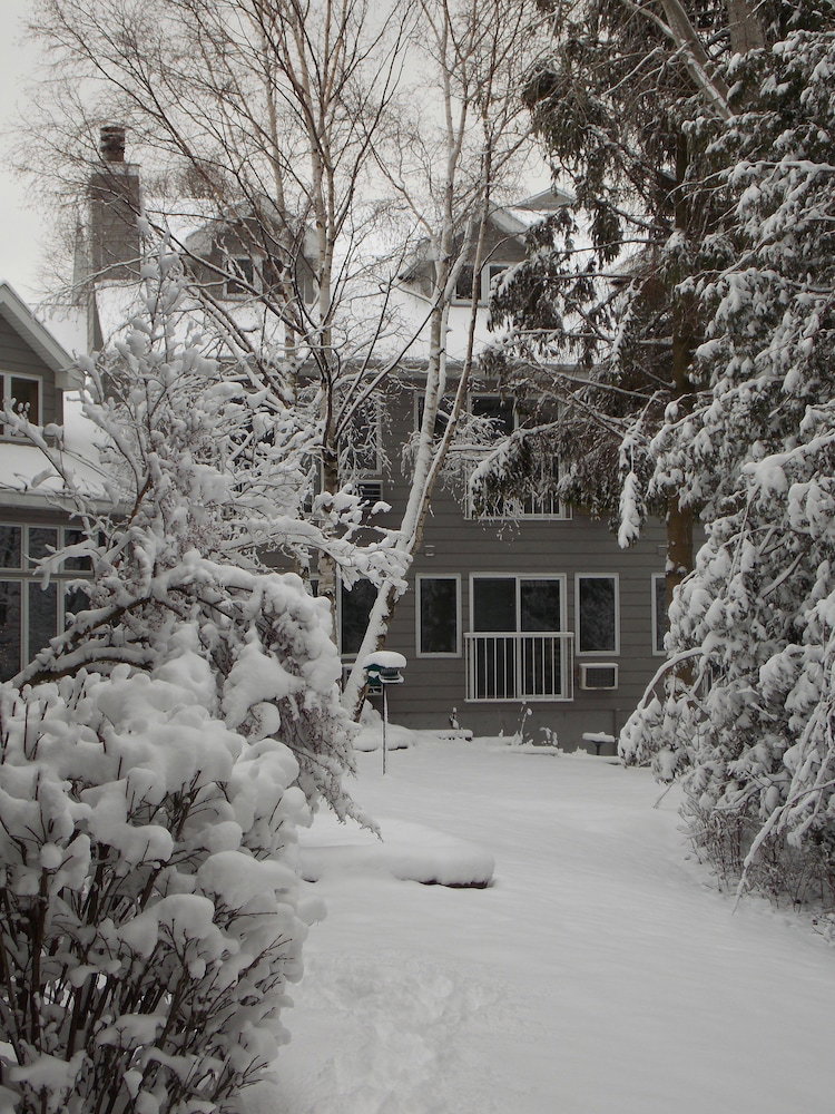 Waterbury Inn - thumb 0