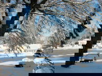 Book Cities Accommodation Vacations, Accommodation Michigan Accommodation Michigan