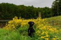 Book Cities Accommodation Vacations, Accommodation Michigan Accommodation Michigan