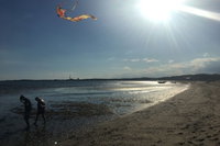 Beachfront White Sands