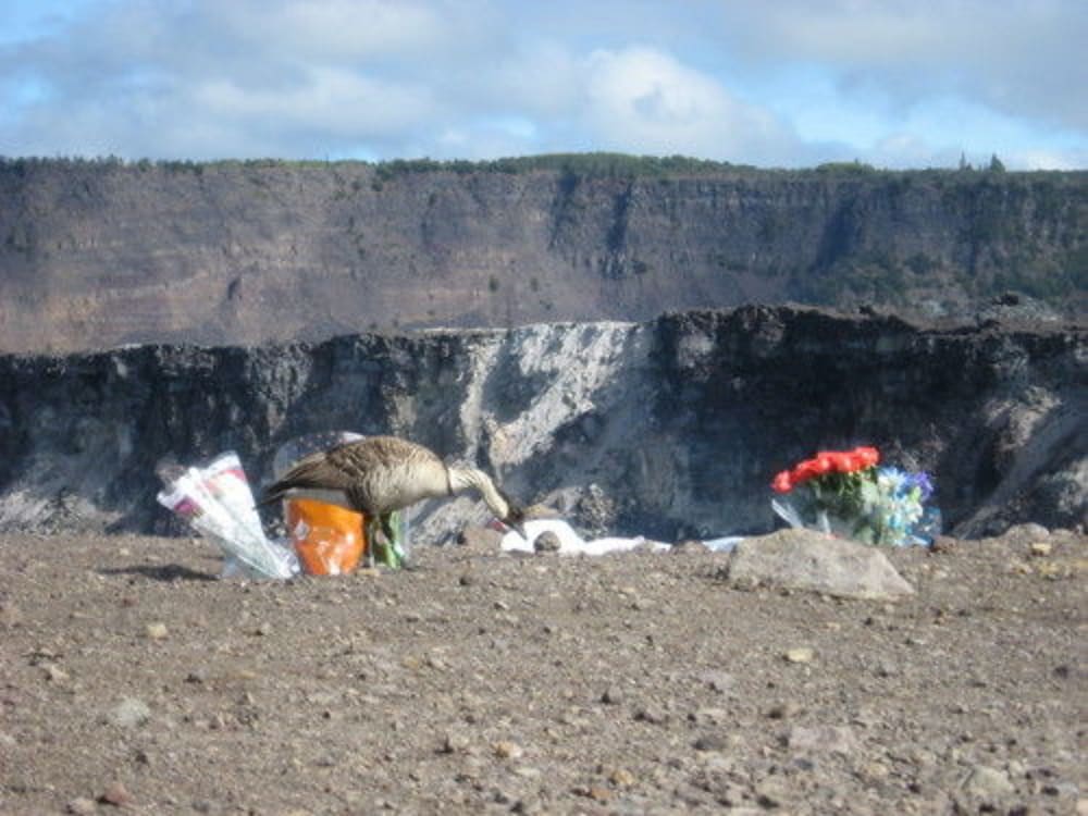 Volcano Mist Cottage - thumb 2