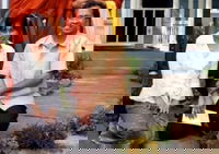 Book Cities Accommodation Vacations, Accommodation Michigan Accommodation Michigan