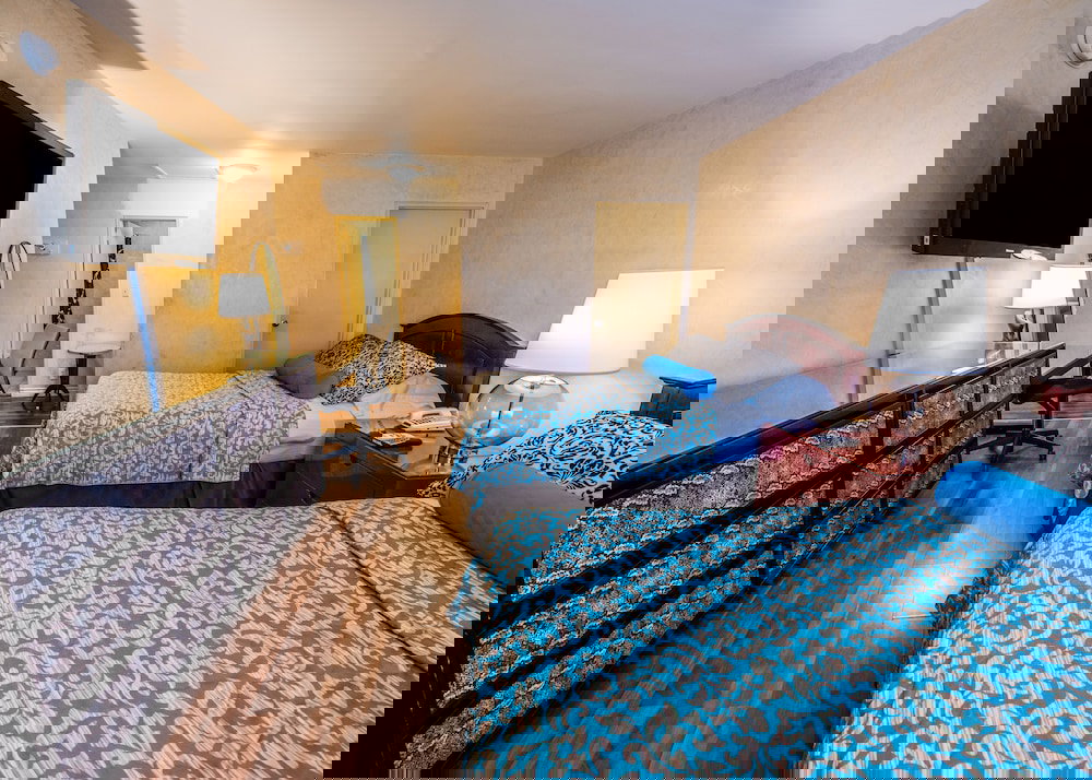 Hollywood Downtowner - thumb 5