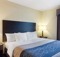 Quality Inn  Suites West - Accommodation Michigan