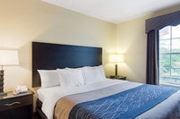 Quality Inn  Suites West