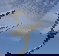 Eagle's Den Suites at Kenedy - Accommodation Michigan