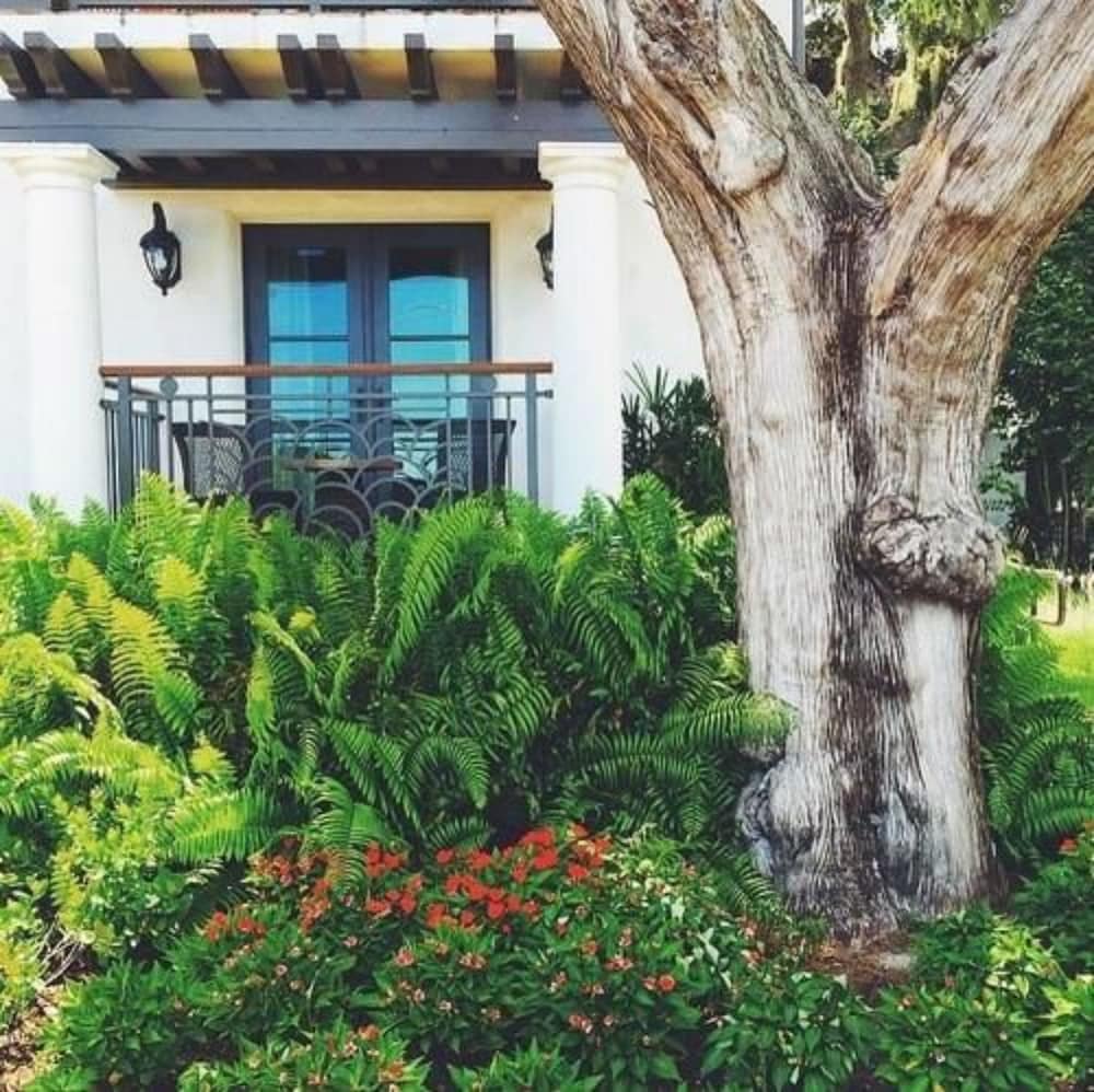 Black Dolphin Inn - thumb 1