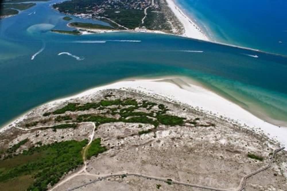 Black Dolphin Inn - thumb 0