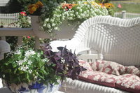 The Sleigh Maker Inn Bed  Breakfast