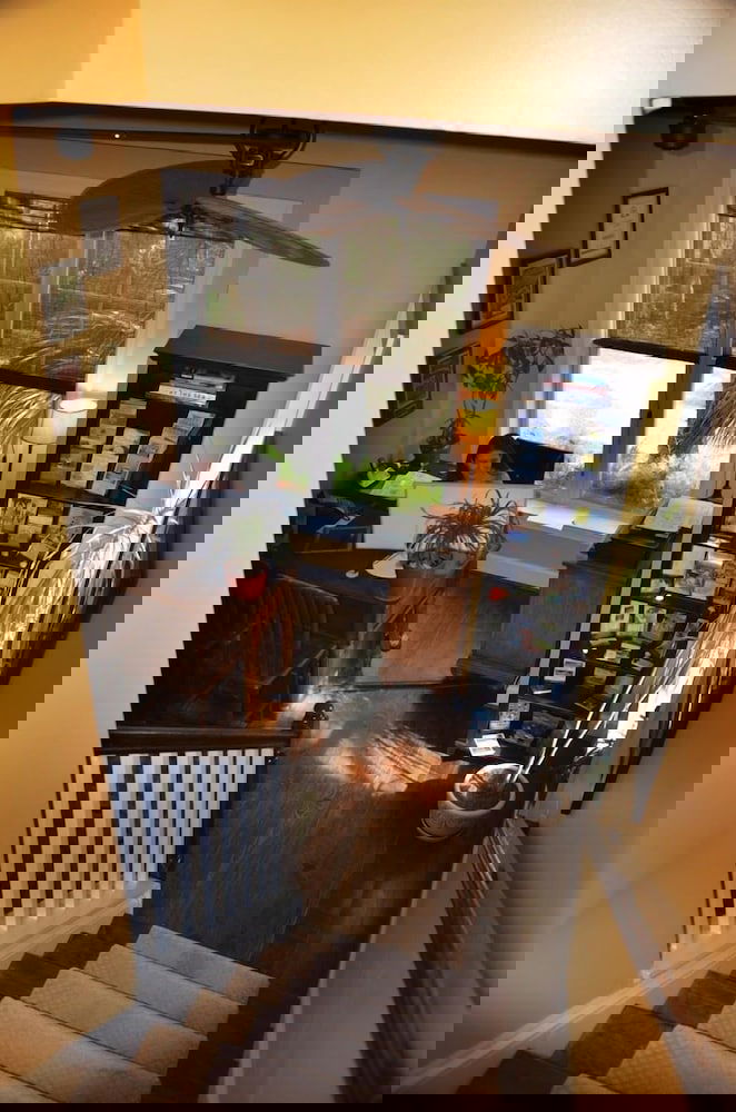 Water's Edge Inn - Adults Only - thumb 6