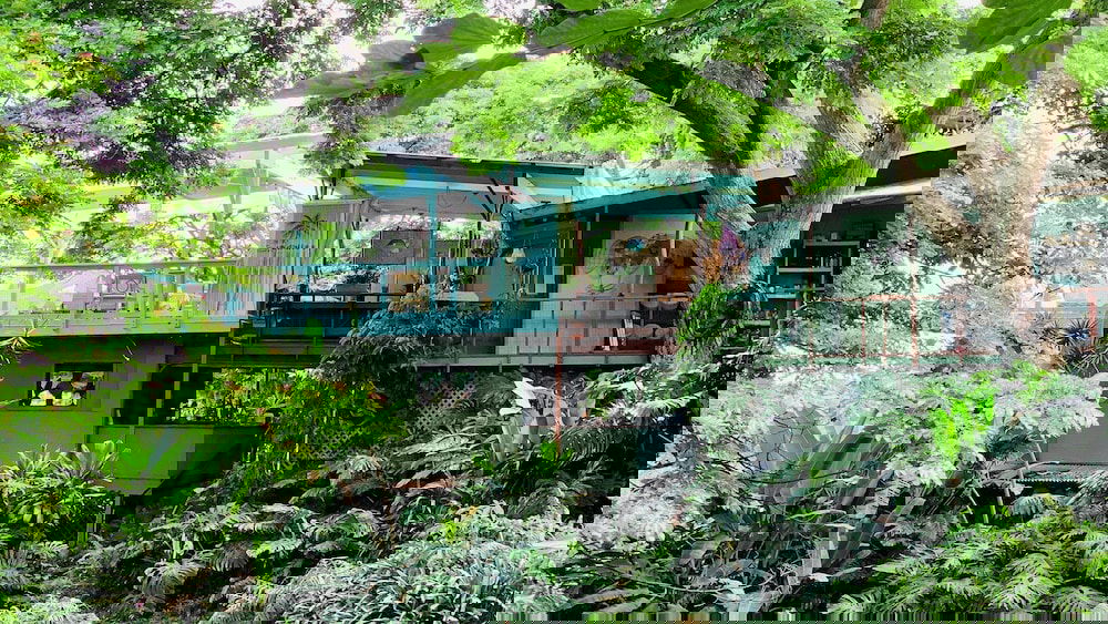 Dragonfly Ranch - thumb 2