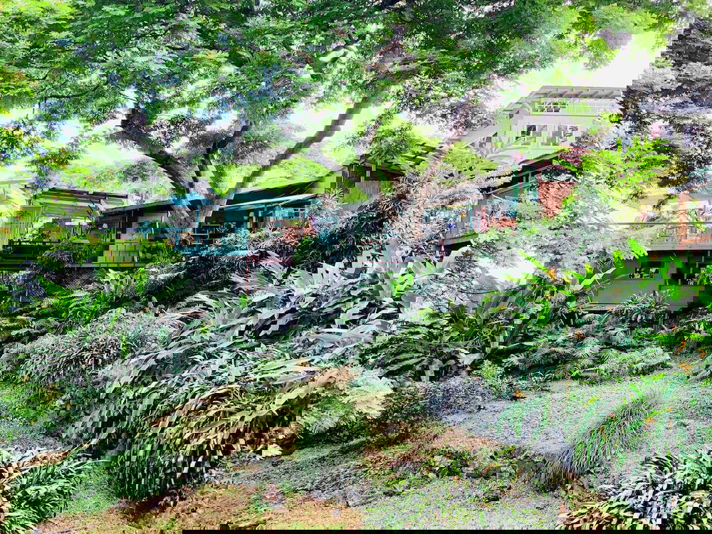 Dragonfly Ranch - thumb 0