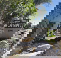 Lemon Tree Inn - Accommodation Michigan