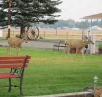 Rim Rock Motel - Accommodation Michigan