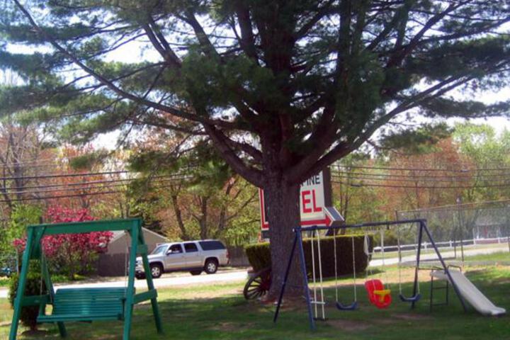 Knotty Pine Motel - thumb 2