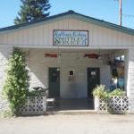 Forest Lodge Motel - thumb 1