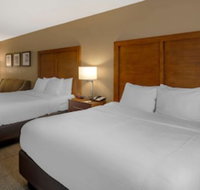 Comfort Inn  Suites Peachtree Corners - Accommodation Michigan