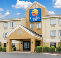 Comfort Inn East - Accommodation Michigan