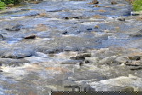 Gatlinburg River Inn