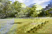 Pillow and Paddock BB